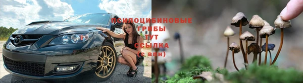 гидропоника Осташков