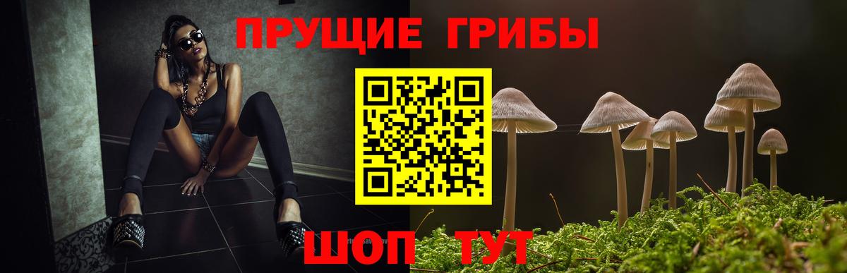 Галлюциногенные грибы Psilocybine cubensis  Вход с VPN  Кимры  Псилоцибиновые грибы Cubensis 